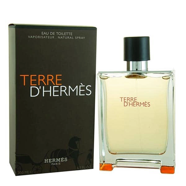 پرفیوم هرمس تق هرمس مردانه تند و تلخ - Hermes Terre dHermes درجه 1 (پس کرایه)