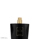 ادو پرفیوم مردانه رودیر پلاس مدل In Black حجم 100 میلی لیتر