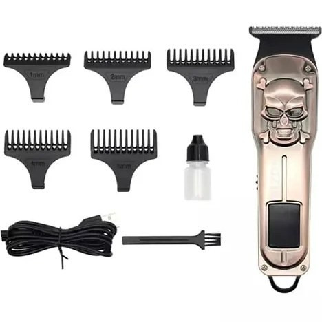 ماشین اصلاح روزیا پرو HQ307 ROZIA shaving machine HQ307