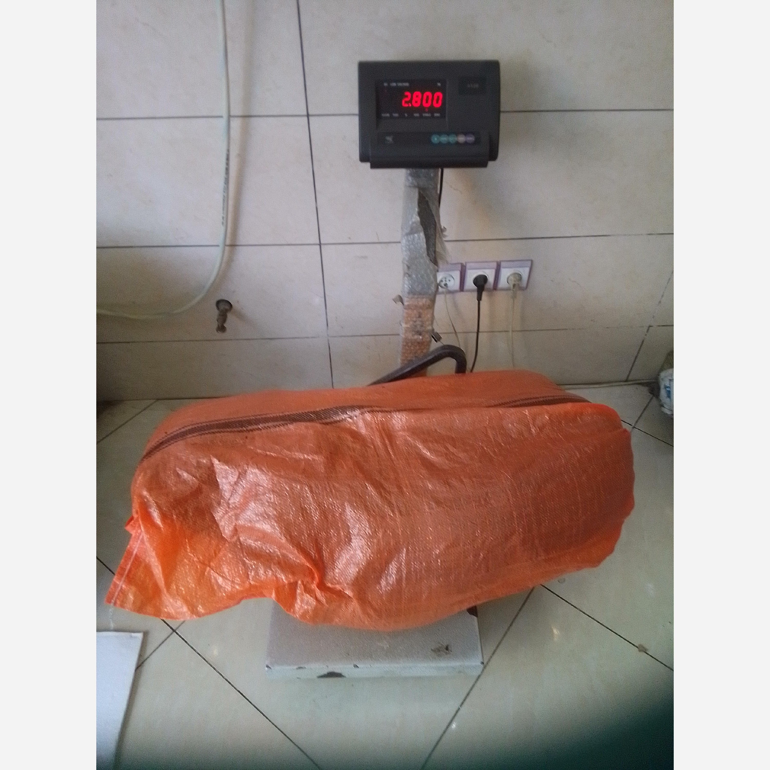 عروسک خرس شاسخین بزرگ (110 سانتی )