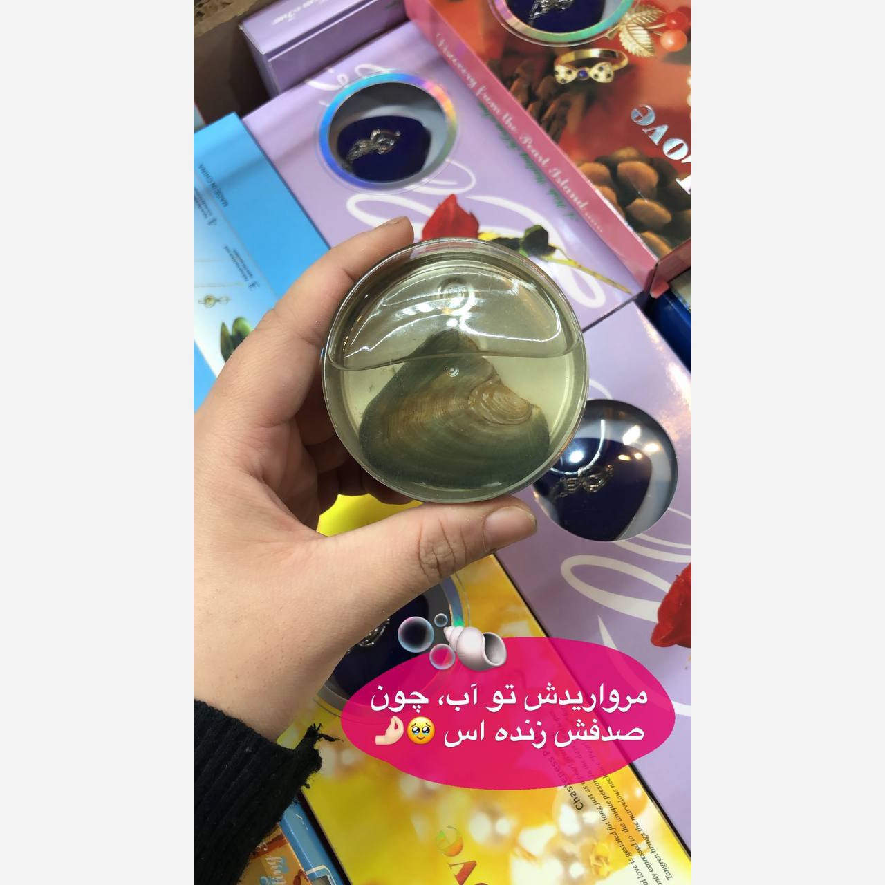 مروارید عشق وارداتی اصلی با کمترین قیمت گالری هیما