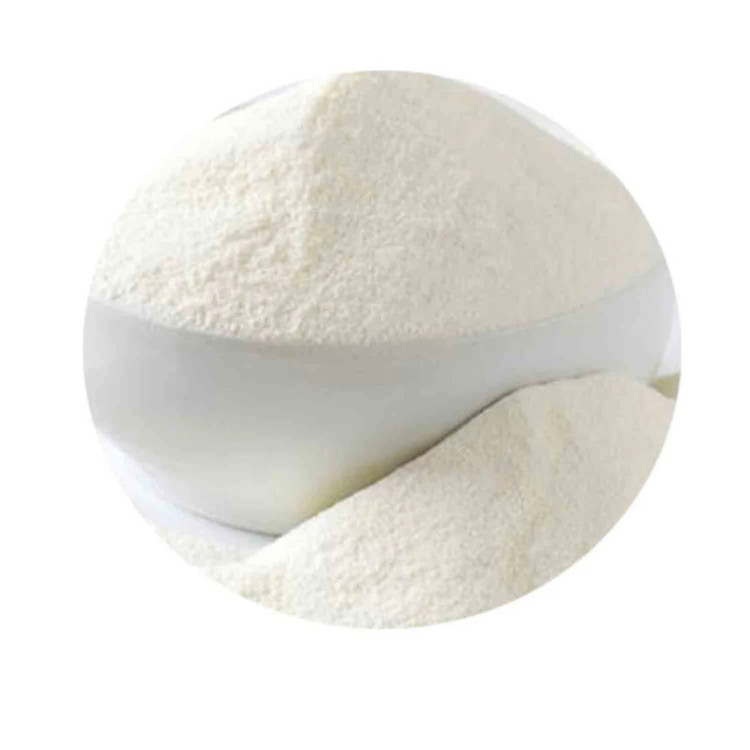 پودر سفیده تخممرغ پروتئین گالیور - 500 گرم