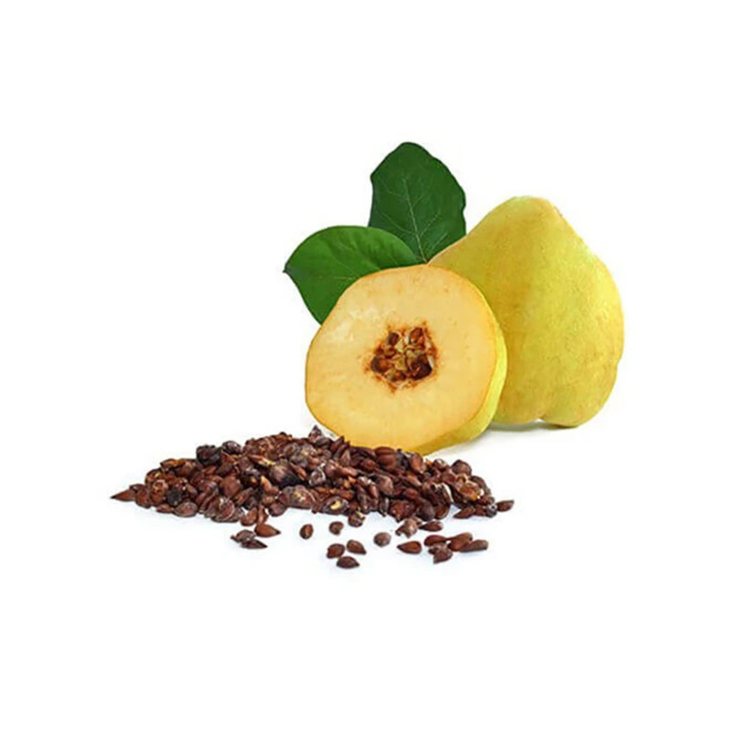 دانه به محلی گالیور -100 گرم