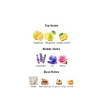 عطر 50 میل فراگرانس ورد Fragrance World Casamorando Mafesto