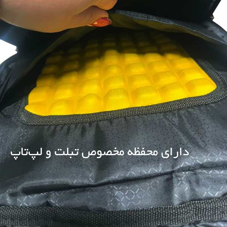 کوله پشتی سفری مدل BNT800106